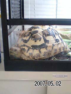 20070502fine.jpg